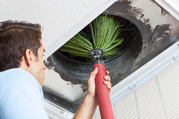 Best Affordable Duct Cleaning Services  in Rainbow Park, FL