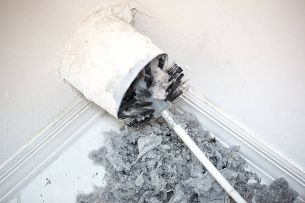 Best HVAC Duct Inspection Services  in Rainbow Park, FL