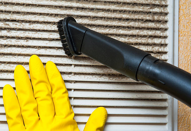 Best Affordable Air Duct Cleaning  in Rainbow Park, FL